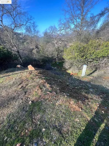 a view of a garden with plants