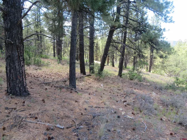 $23,500 | 16 Crooked Road, Pagosa Springs, CO 81147