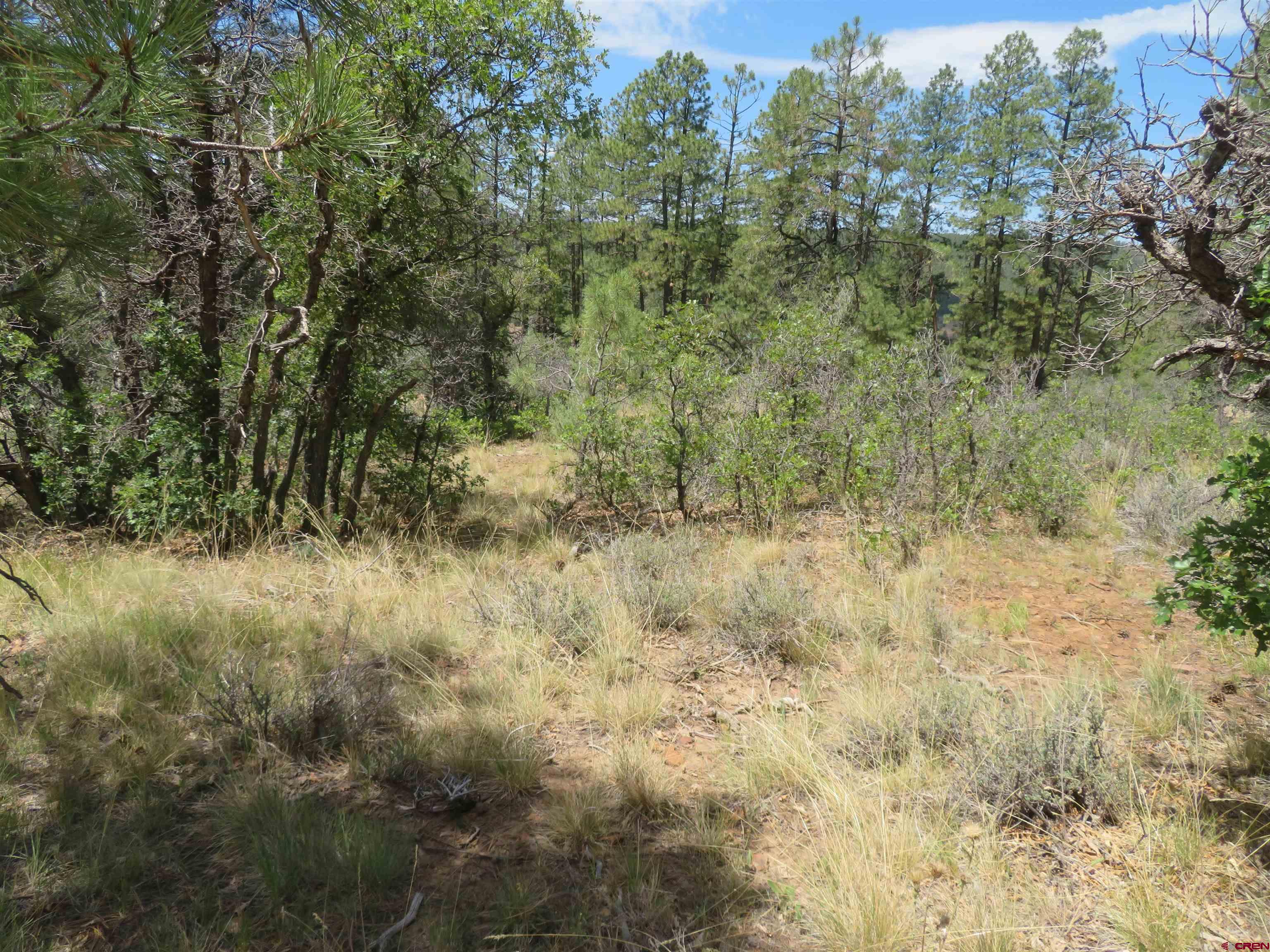 16 Crooked Road Pagosa Springs, CO 81147 - Photo 14 of 22