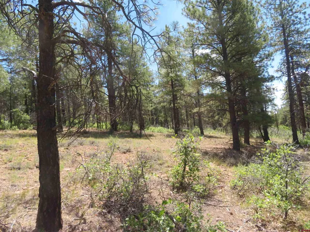 $23,500 | 16 Crooked Road, Pagosa Springs, CO 81147