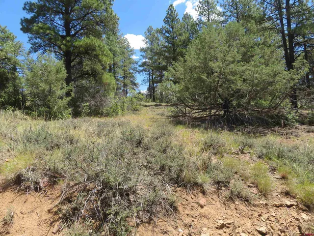 $23,500 | 16 Crooked Road, Pagosa Springs, CO 81147