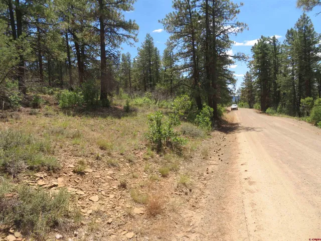 $23,500 | 16 Crooked Road, Pagosa Springs, CO 81147