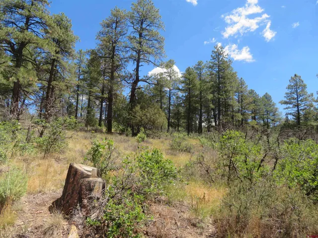 $23,500 | 16 Crooked Road, Pagosa Springs, CO 81147