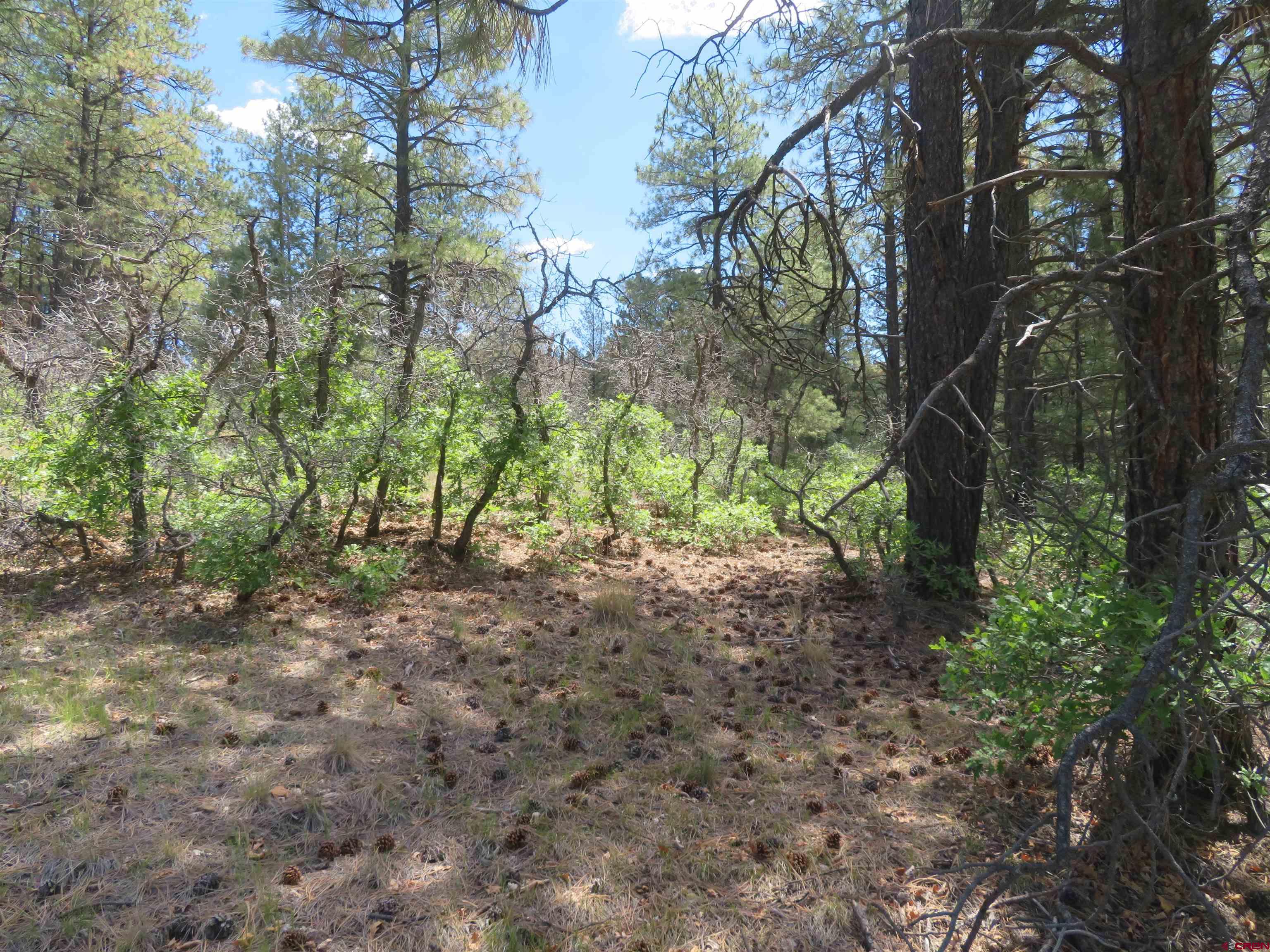 16 Crooked Road Pagosa Springs, CO 81147 - Photo 2 of 22