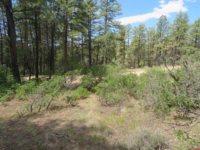 $23,500 | 16 Crooked Road, Pagosa Springs, CO 81147