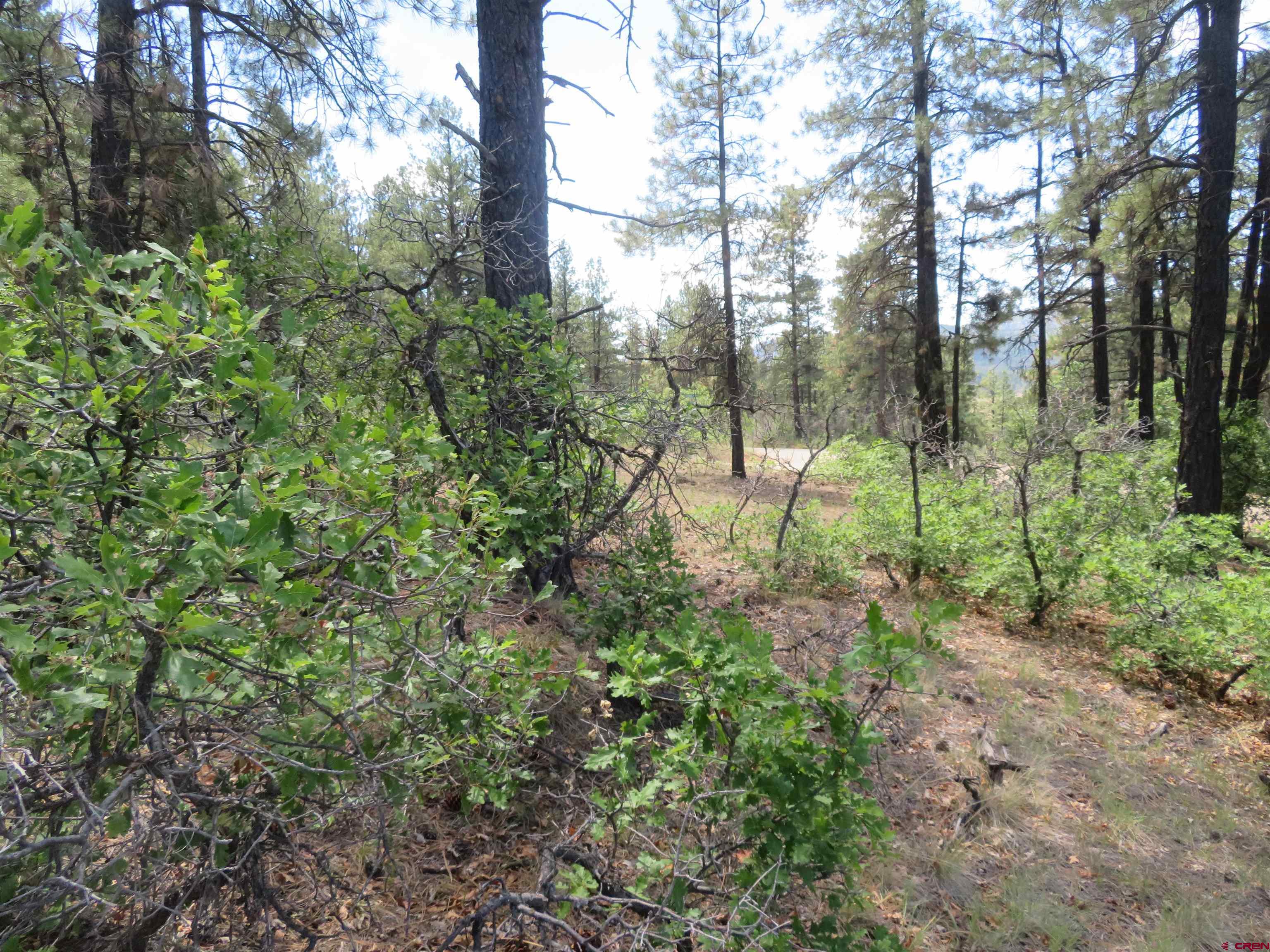 16 Crooked Road Pagosa Springs, CO 81147 - Photo 4 of 22