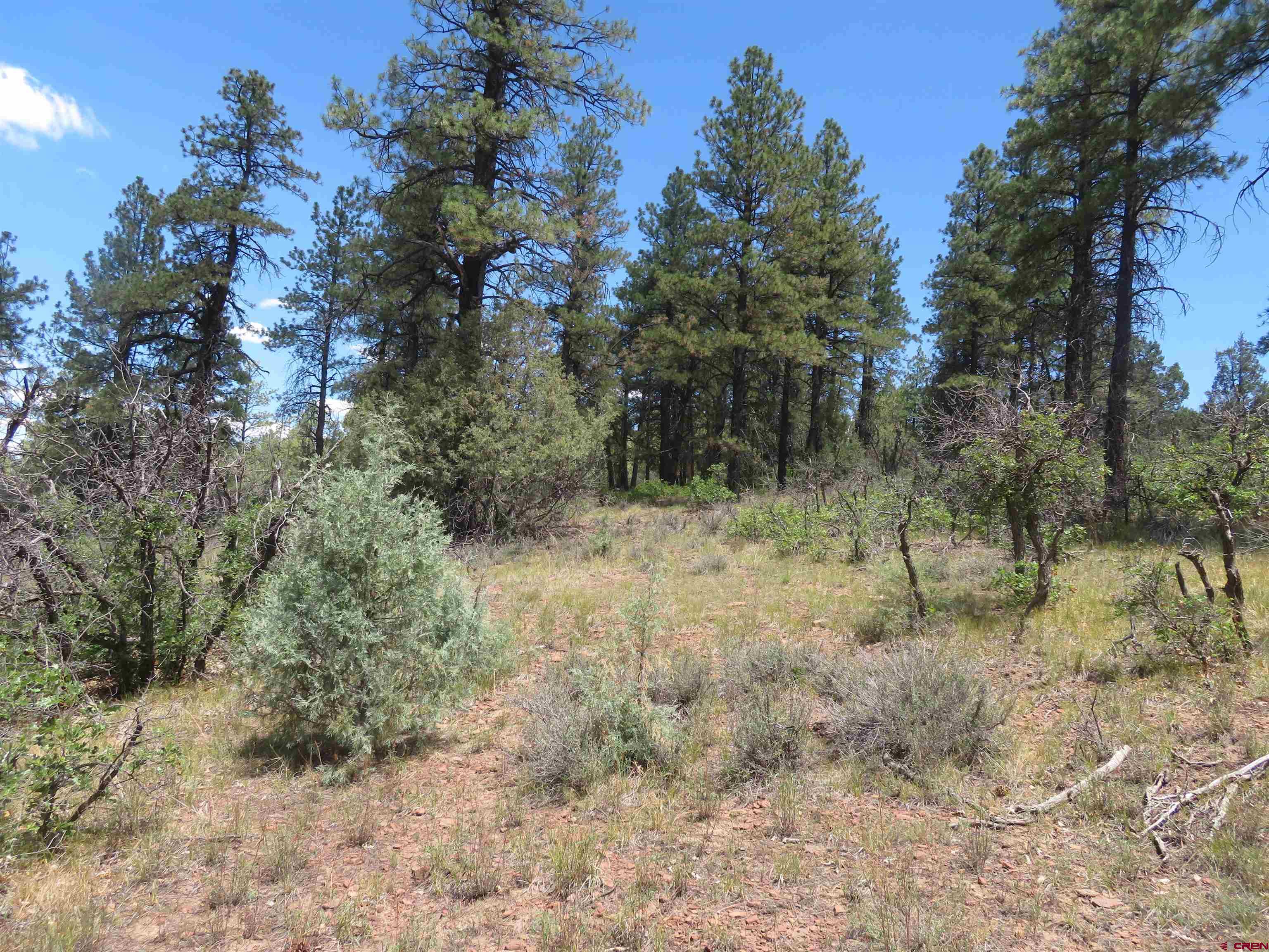16 Crooked Road Pagosa Springs, CO 81147 - Photo 5 of 22
