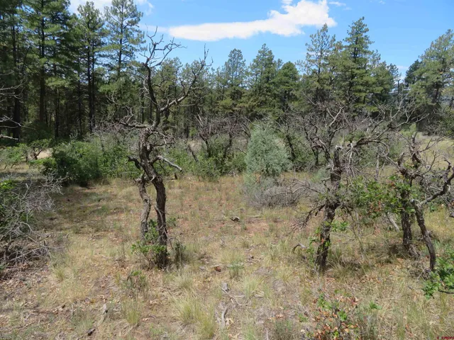 $23,500 | 16 Crooked Road, Pagosa Springs, CO 81147