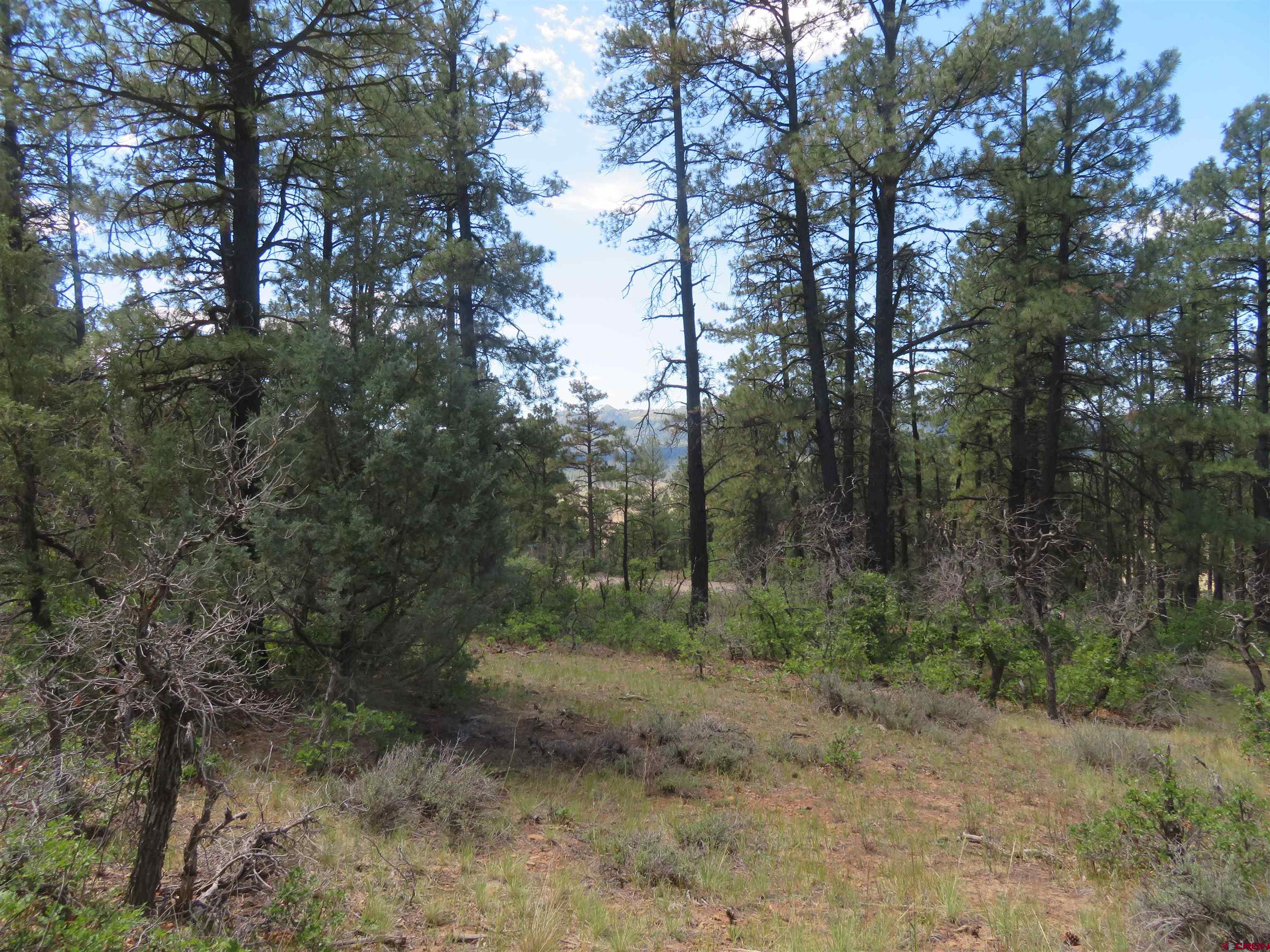 16 Crooked Road Pagosa Springs, CO 81147 - Photo 7 of 22