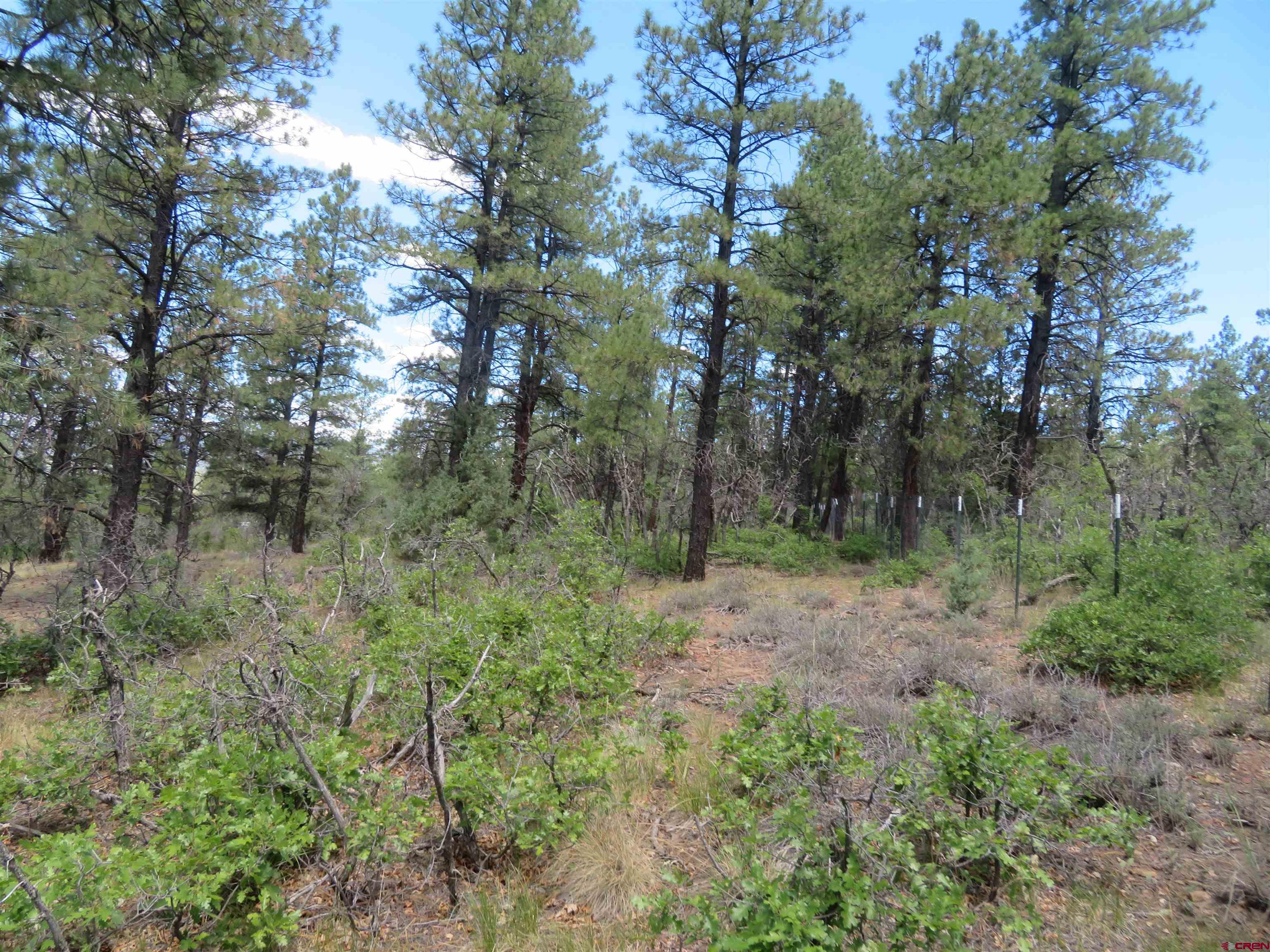 16 Crooked Road Pagosa Springs, CO 81147 - Photo 8 of 22