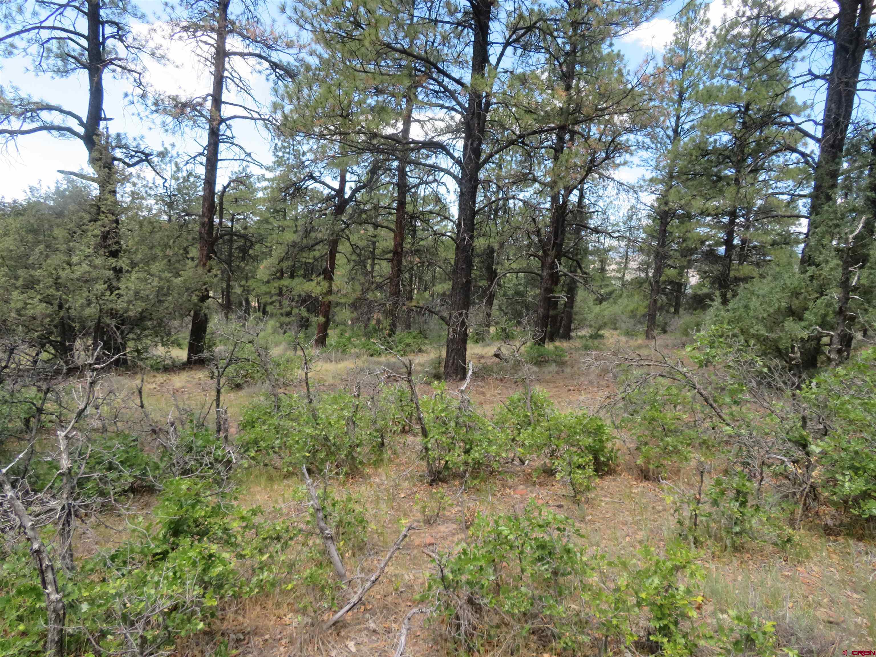 16 Crooked Road Pagosa Springs, CO 81147 - Photo 9 of 22