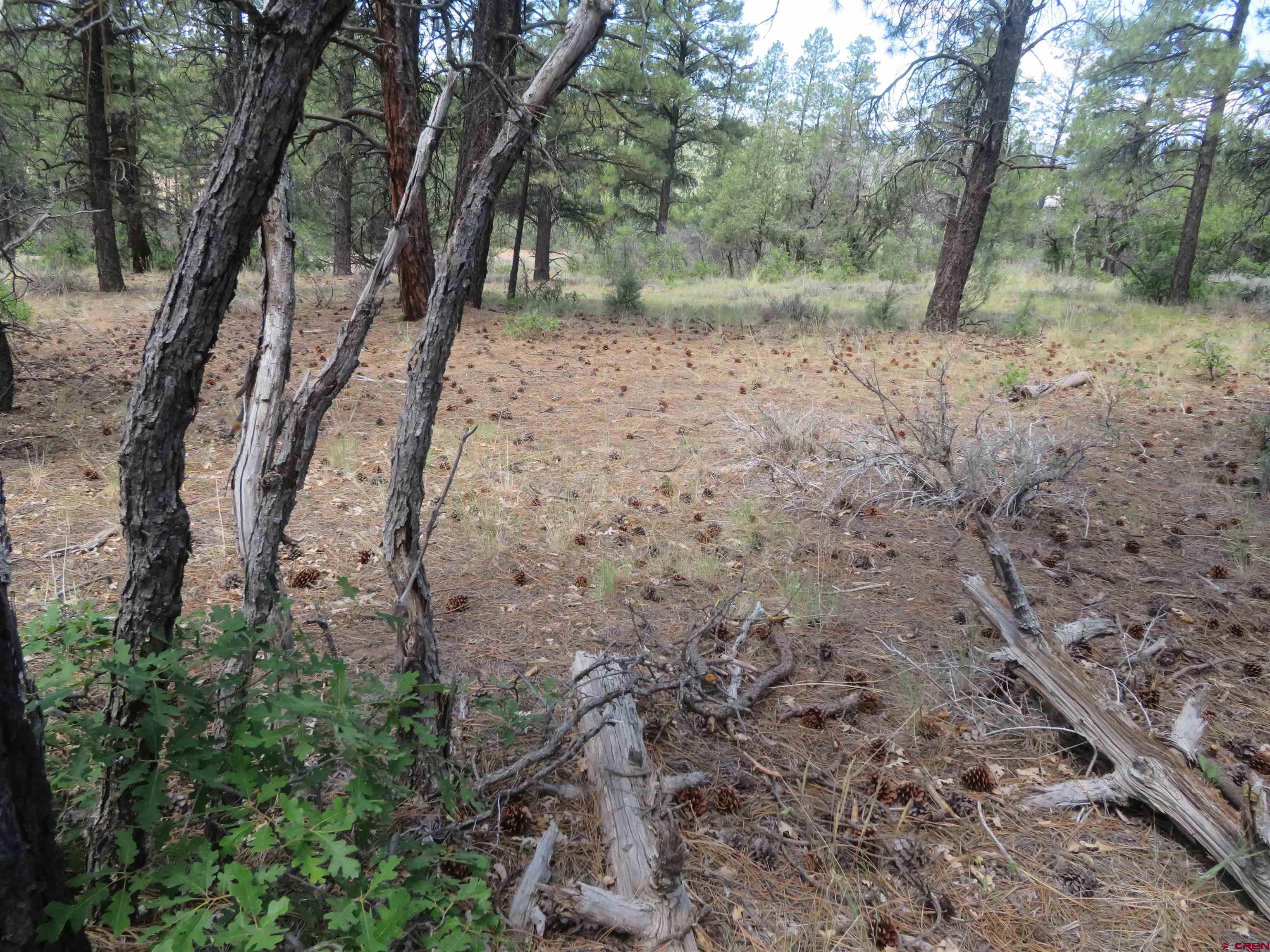 16 Crooked Road Pagosa Springs, CO 81147 - Photo 10 of 22