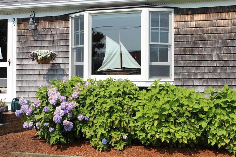39 Pine Grove Road Chatham, MA 02633 - Photo 31 of 34 a view of a garden with a potted plant