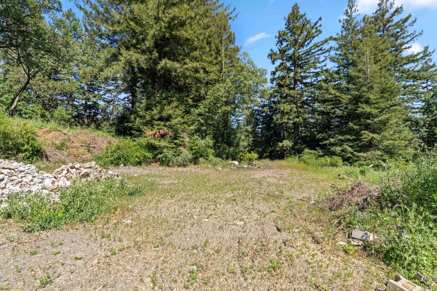 22981 Highway 17 Los Gatos, CA 95033 - Photo 14 of 23 a view of a yard with a tree