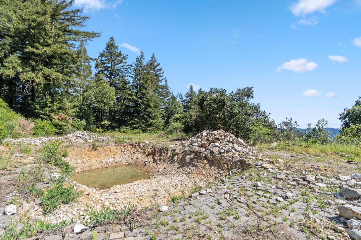 22981 Highway 17 Los Gatos, CA 95033 - Photo 15 of 23 a view of a yard with a tree