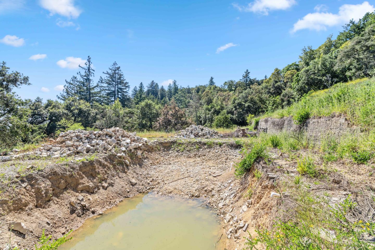 22981 Highway 17 Los Gatos, CA 95033 - Photo 16 of 23 a view of a yard with a tree