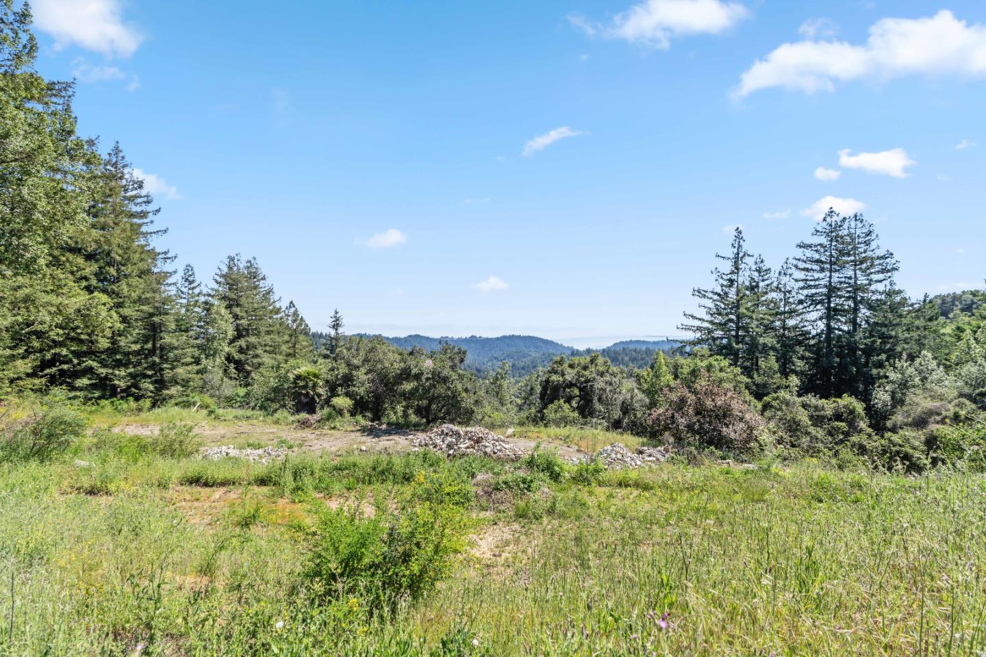 22981 Highway 17 Los Gatos, CA 95033 - Photo 19 of 23 a view of a big yard with large trees