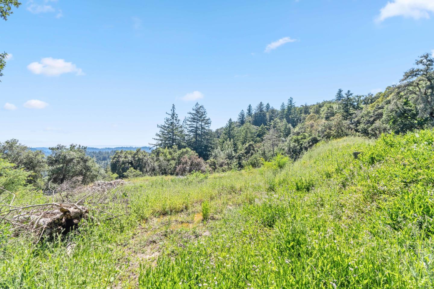 22981 Highway 17 Los Gatos, CA 95033 - Photo 22 of 23 a view of a lush green space with sea
