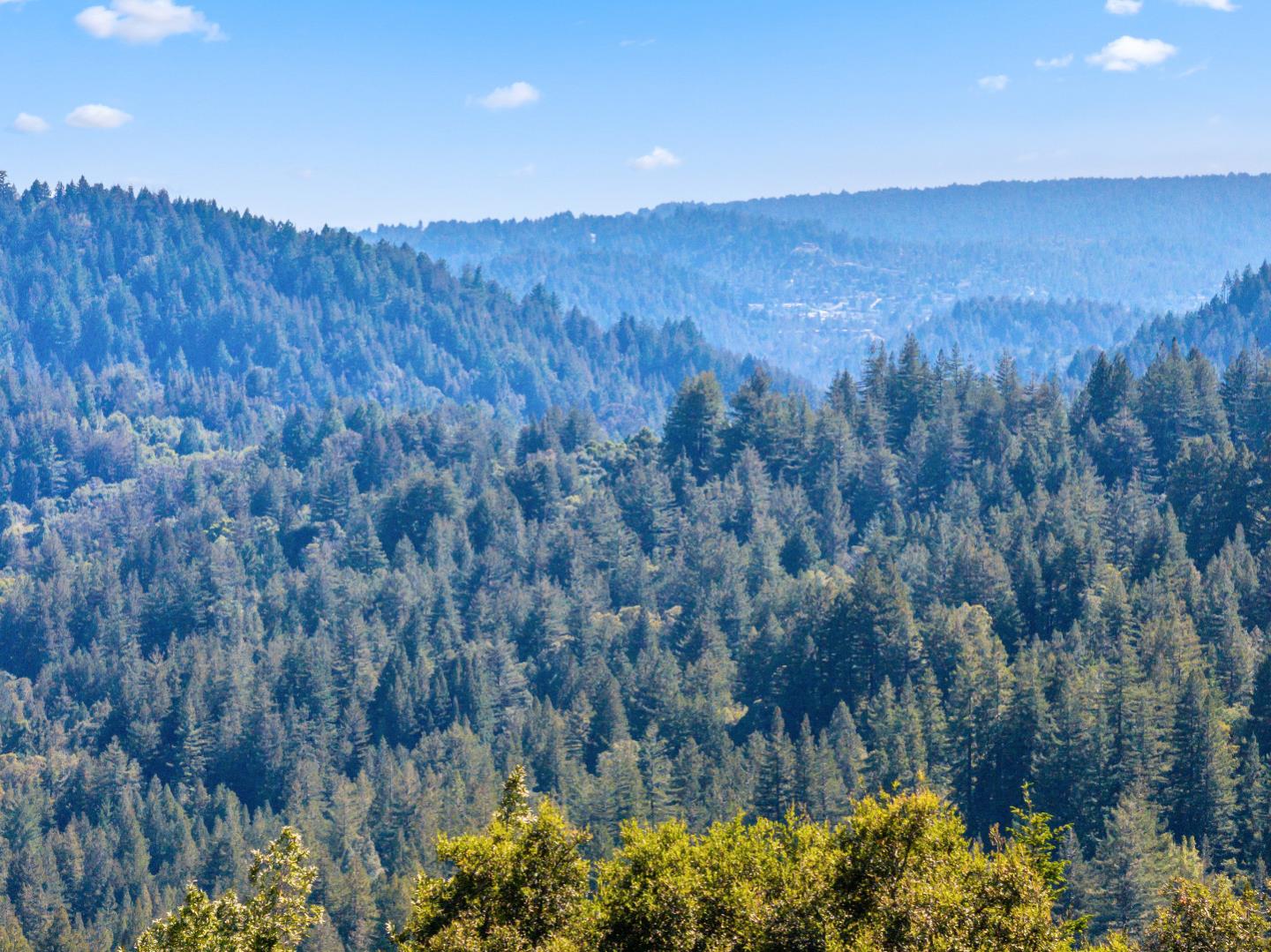 22981 Highway 17 Los Gatos, CA 95033 - Photo 23 of 23 a view of a bunch of trees and bushes