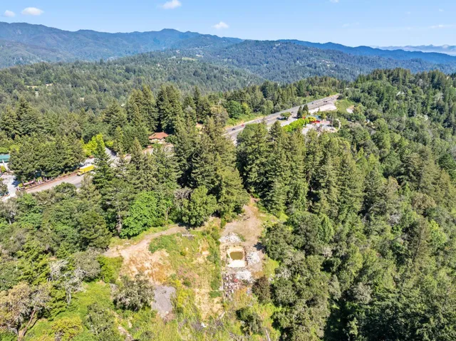 a view of a forest with mountains in the background