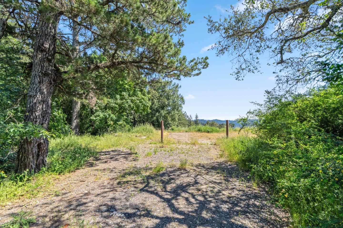 22981 Highway 17 Los Gatos, CA 95033 - Photo 6 of 23 a view of a yard with trees