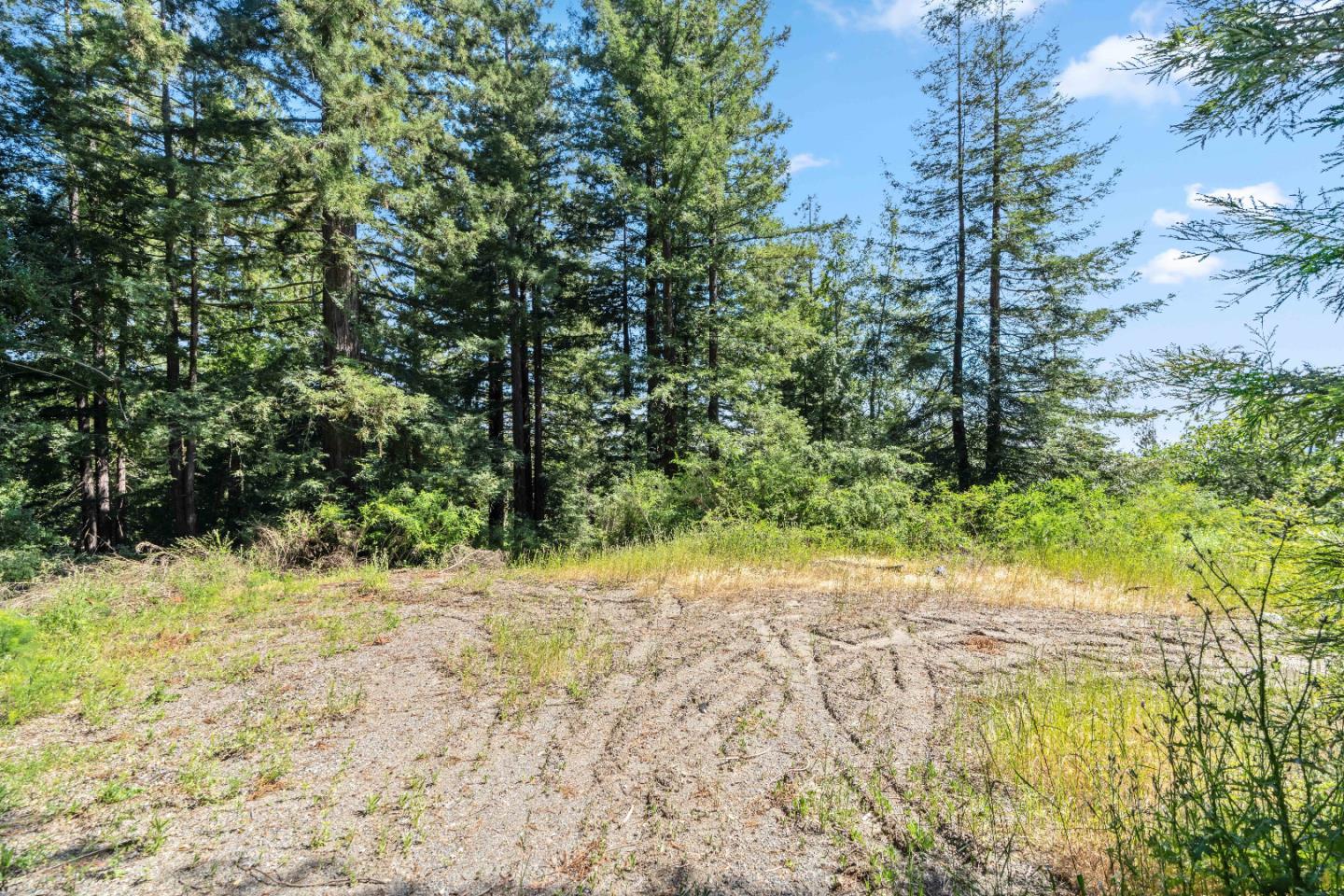 22981 Highway 17 Los Gatos, CA 95033 - Photo 8 of 23 a view of a yard with trees