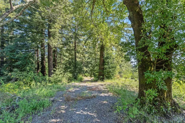 a view of outdoor space and trees