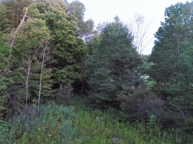 9799 Fairmount Road Newbury, OH 44065 - Photo 23 of 24 Gallery Image 23