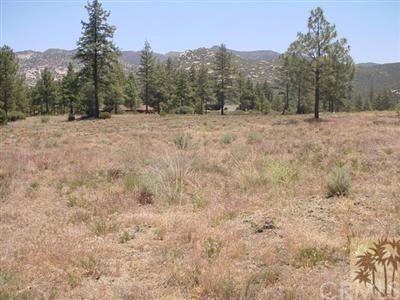 50 Devils Ladder Road Mountain Center, CA 92561 - Photo 1 of 1