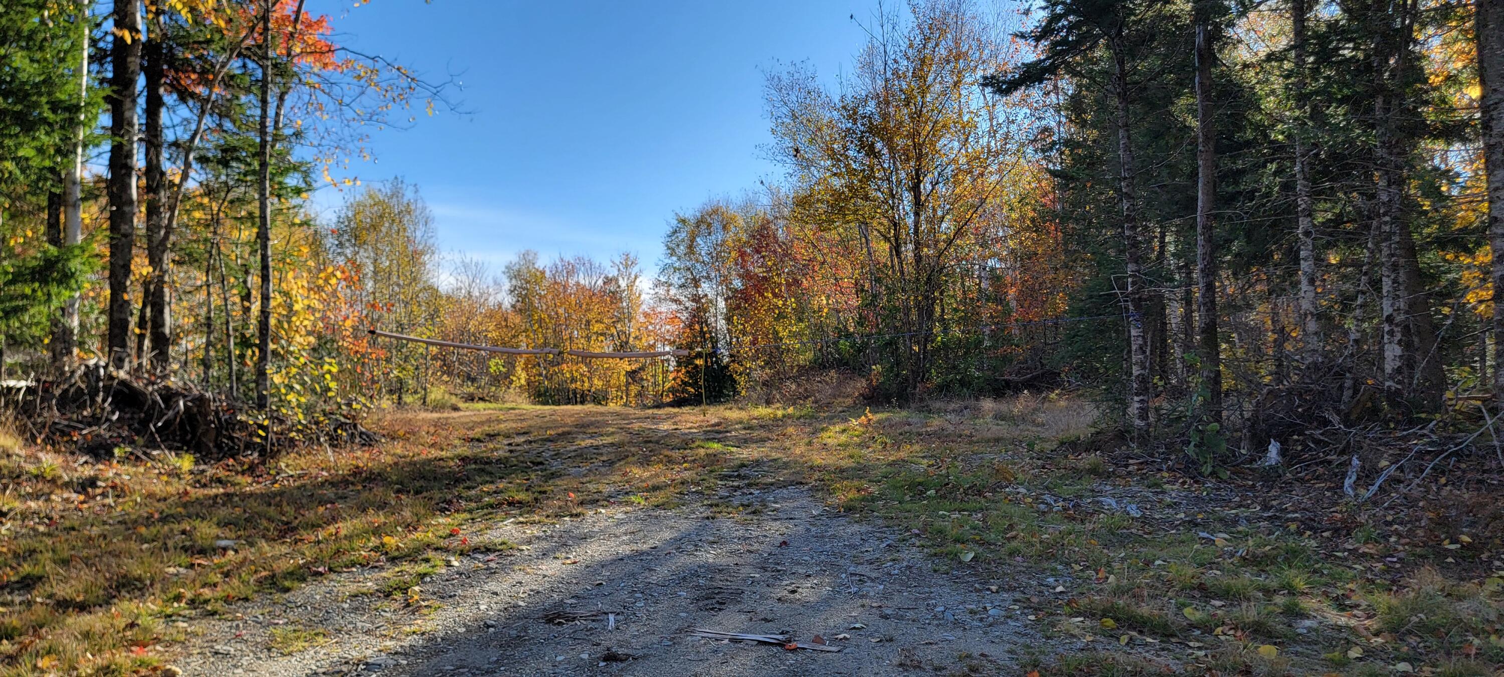 17 East Ridge Cooper, ME 04657 - Photo 1 of 4 1000012921