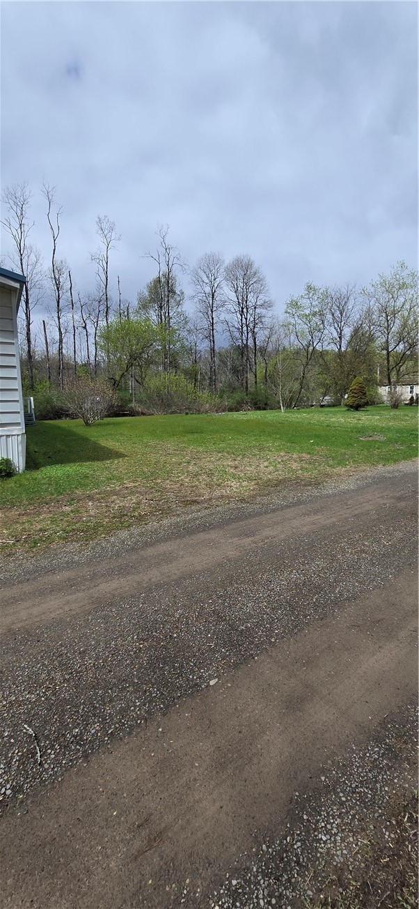 101 Deshaw Road Bainbridge, NY 13733 - Photo 3 of 9