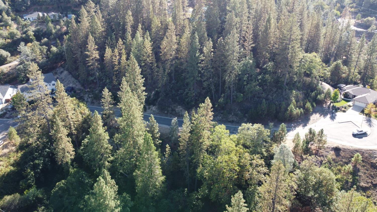 5 Estey Way Placerville, CA 95667 - Photo 2 of 8 a picture of trees