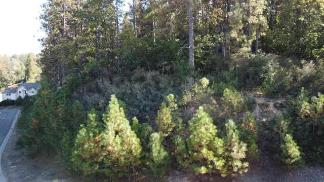 $62,500 | 5 Estey Way, Placerville, CA 95667