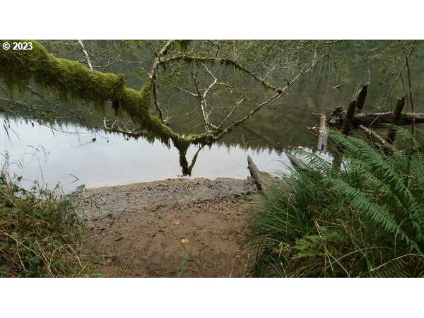 Elk City Road Toledo, OR 97391 - Photo 20 of 34 a black and white photo of a house