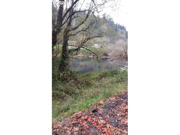 Elk City Road Toledo, OR 97391 - Photo 21 of 34 a picture of a yard