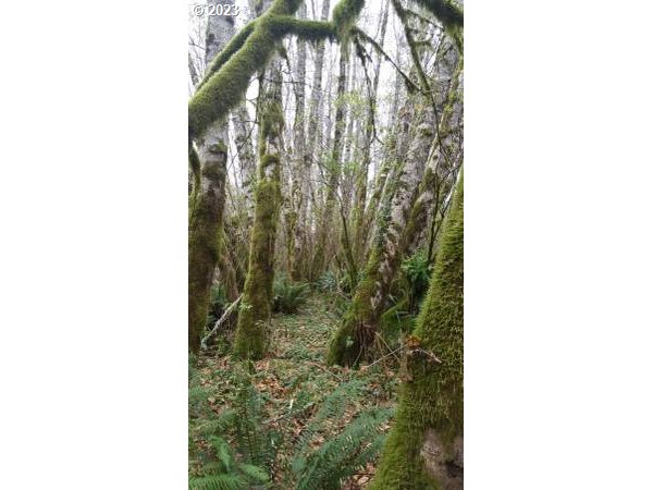 Elk City Road Toledo, OR 97391 - Photo 27 of 34