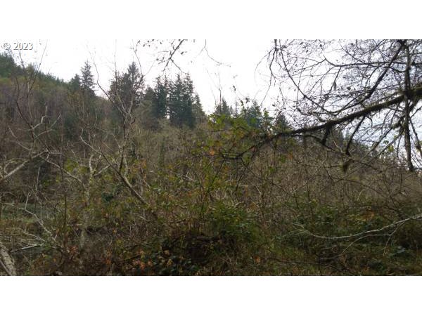Elk City Road Toledo, OR 97391 - Photo 28 of 34 a black and white photo of a tree