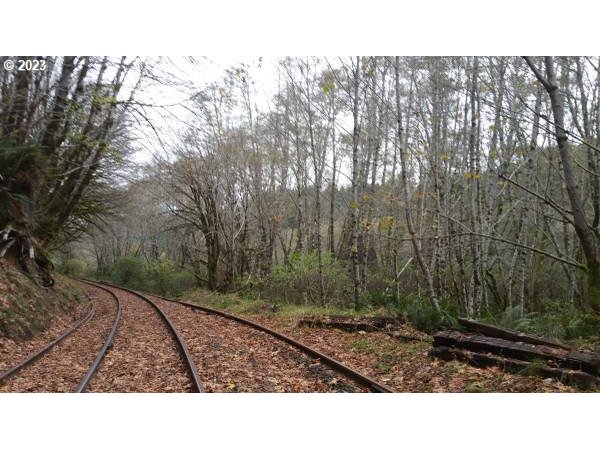 Elk City Road Toledo, OR 97391 - Photo 30 of 34 a view of a backyard