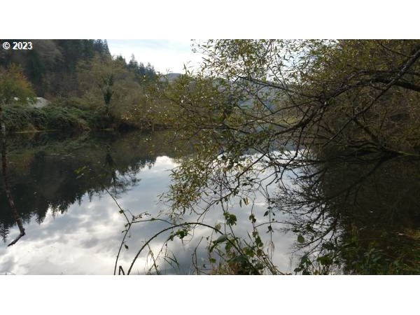 Elk City Road Toledo, OR 97391 - Photo 31 of 34 a black and white photo of a lake