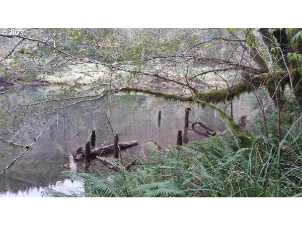 Elk City Road Toledo, OR 97391 - Photo 32 of 34 a black and white photo of a bench in middle of the green field