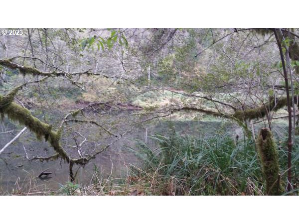 Elk City Road Toledo, OR 97391 - Photo 33 of 34 a black and white photo of a house