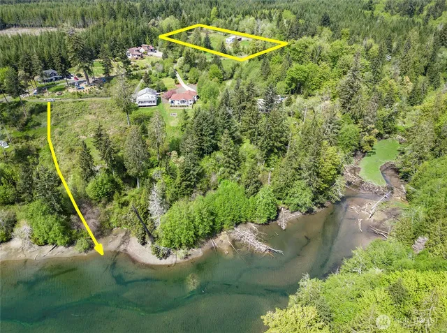 an aerial view of a house with a yard and large trees