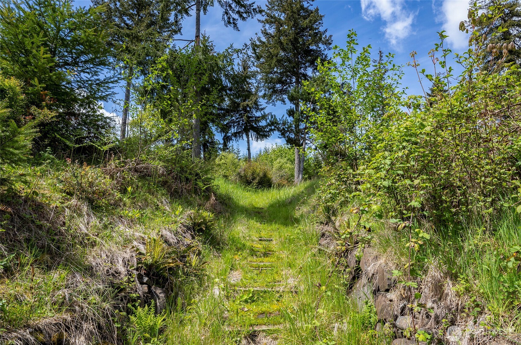 770 East April Avenue Grapeview, WA 98546 - Photo 14 of 21 a backyard of a house with a yard and outdoor seating