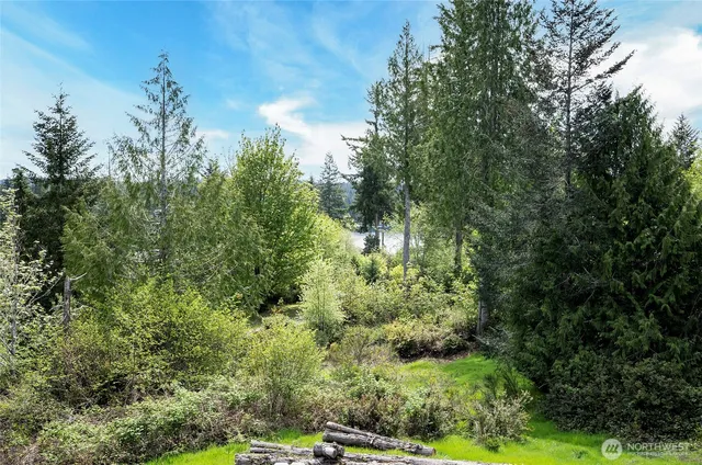 a view of a garden with a building