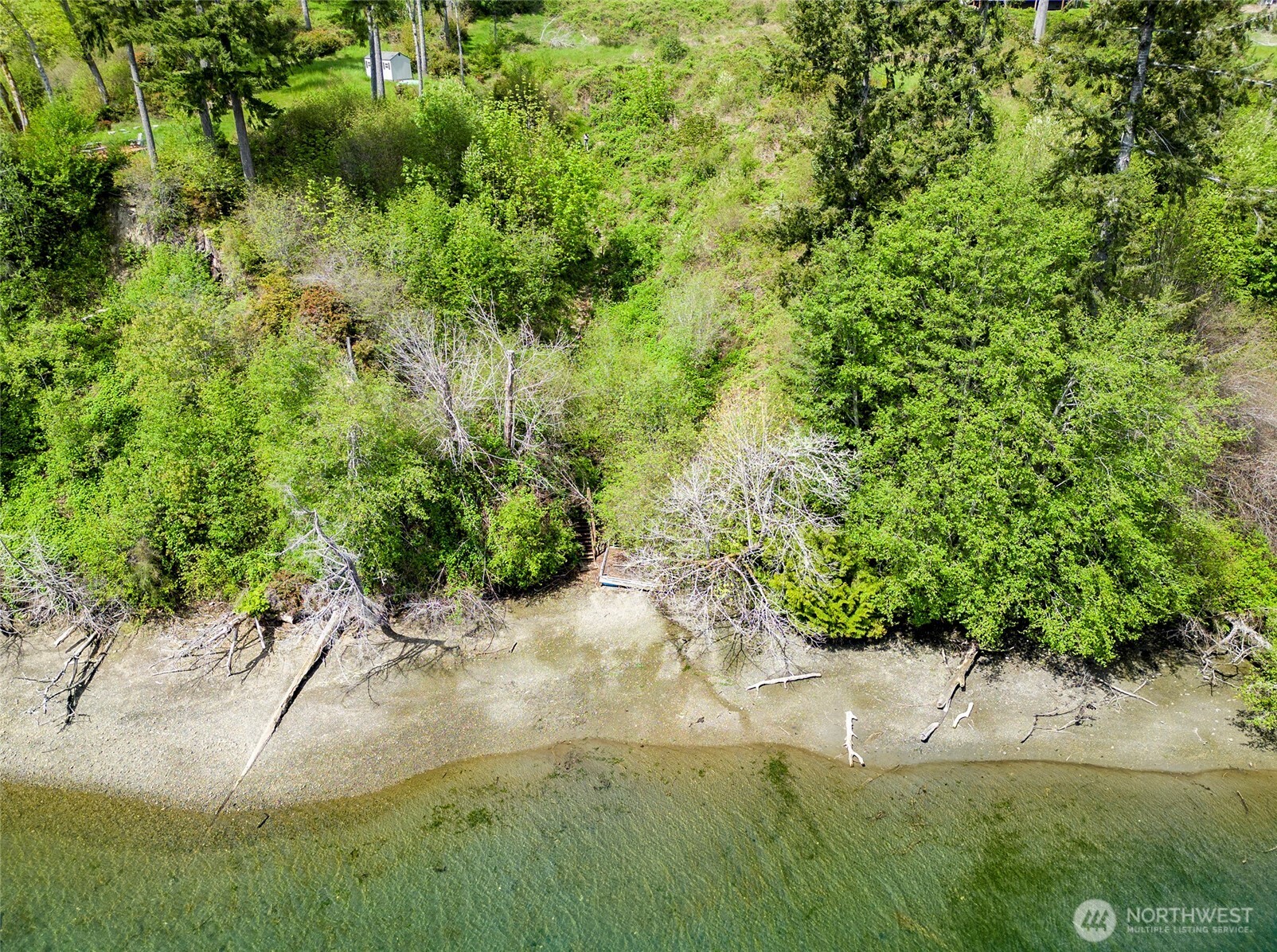 770 East April Avenue Grapeview, WA 98546 - Photo 16 of 21 a view of a garden with a plant