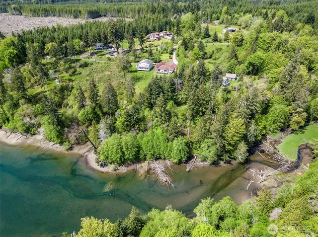 a view of a garden with a fountain
