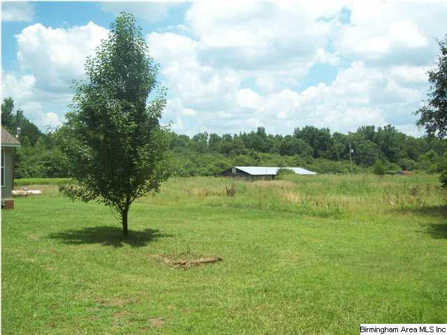 6912 Salem Road Gordo, AL 35466 - Photo 4 of 28