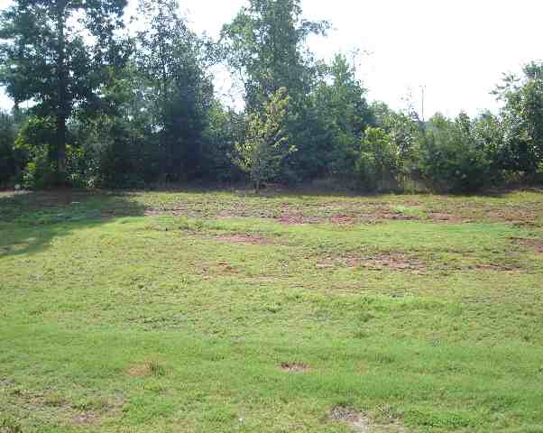 103 Blueberry Lane Pendleton, SC 29670 - Photo 2 of 3