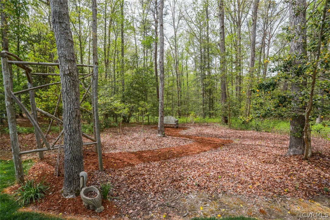 11512 Barrows Ridge Lane Chesterfield, VA 23838 - Photo 39 of 45 a view of a forest with trees