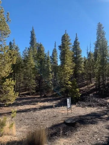 $79,000 | 180 Peakview, Leadville, CO 80461